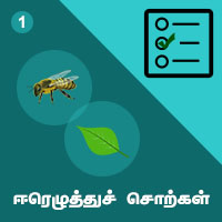 பாடங்கள்