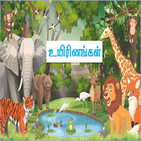 பாடங்கள்