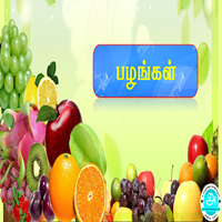 பாடங்கள்
