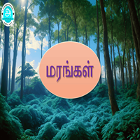 பாடங்கள்