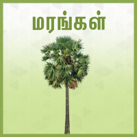 பாடங்கள்