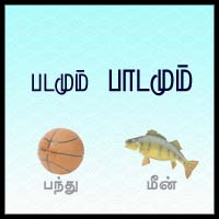 பாடங்கள்