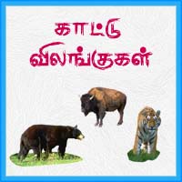 பாடங்கள்