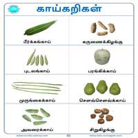 பாடங்கள்