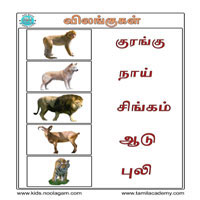 பாடங்கள்