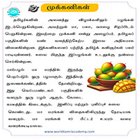பாடங்கள்