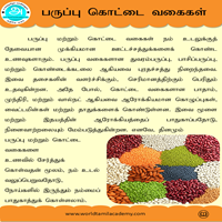 பாடங்கள்