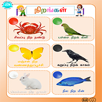 பாடங்கள்