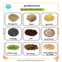 பாடங்கள்