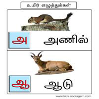 பாடங்கள்