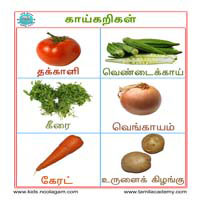 பாடங்கள்