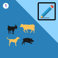 பாடங்கள்