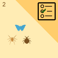 பாடங்கள்