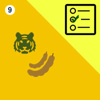 பாடங்கள்