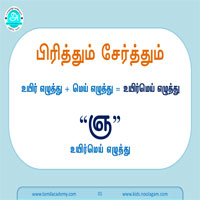 பாடங்கள்