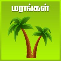 பாடங்கள்