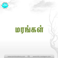 பாடங்கள்