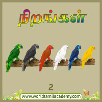 பாடங்கள்