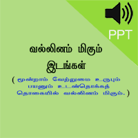 பாடங்கள்