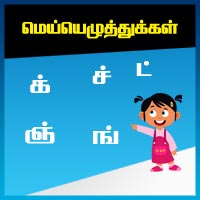 பாடங்கள்