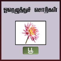 பாடங்கள்
