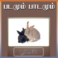 பாடங்கள்