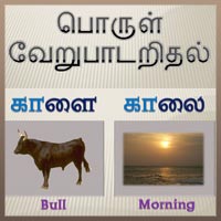பாடங்கள்