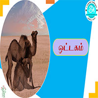 பாடங்கள்