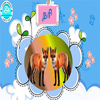 பாடங்கள்