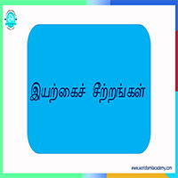 பாடங்கள்