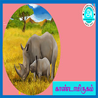 பாடங்கள்