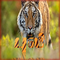 பாடங்கள்