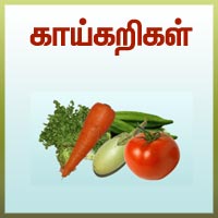 பாடங்கள்