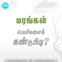பாடங்கள்