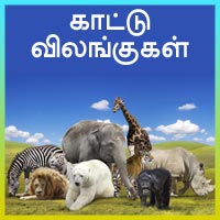 பாடங்கள்
