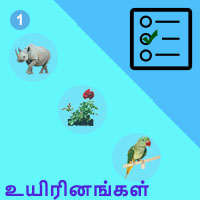 பாடங்கள்