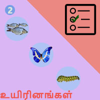 பாடங்கள்
