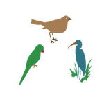 பறவைகள்